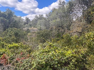 Fondo Masia D'En Perris, Urb. Mas Tapet 4