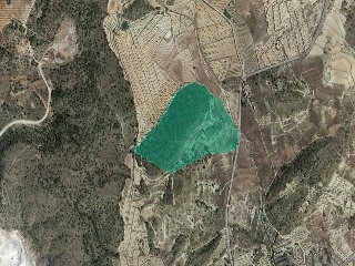 Pisos banco Abanilla