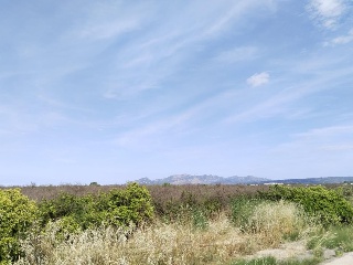 Teularet (Poligono 1 - Parcela 83). Realengo 2