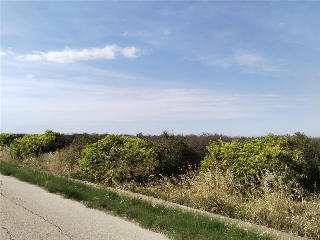 Teularet (Poligono 1 - Parcela 83). Realengo 4