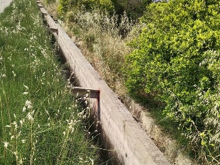 Teularet (Poligono 1 - Parcela 83). Realengo 5