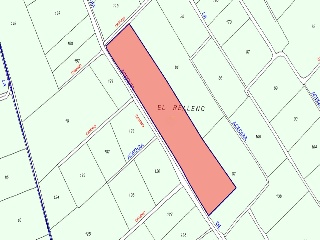 Teularet (Poligono 1 - Parcela 83). Realengo 7