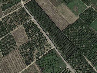 Teularet (Poligono 1 - Parcela 83). Realengo 8