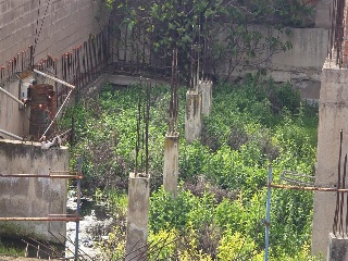 Constitucion (De La) 12