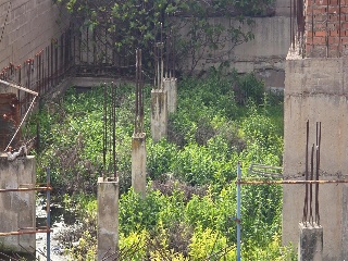 Constitucion (De La) 14