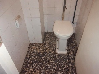 Calle Pizarro Baj 8