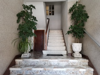 ESTRADA CASTELA 11