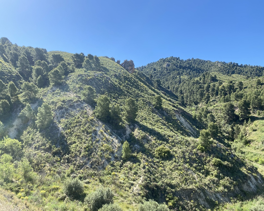 79. Parcela