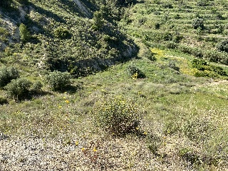 79. Parcela 2
