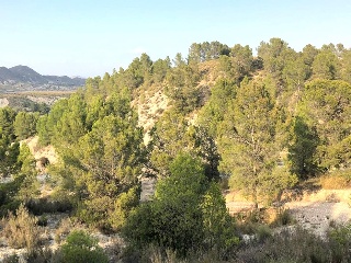 79. Parcela 4