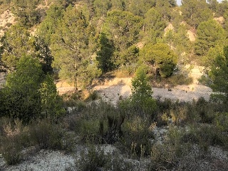 79. Parcela 5