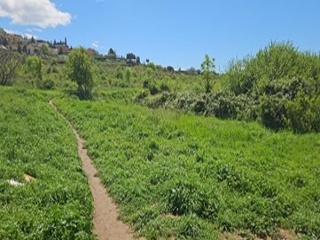 Pisos banco Berga