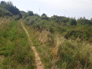 Sud3Canal Industrial 35
