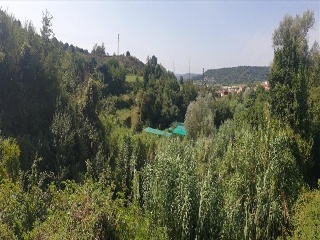 Sud3Canal Industrial 38