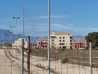 Calle Num 2-La Palma 21