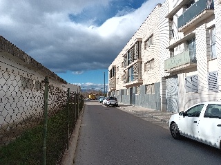 Poeta Rafael Alberti 7