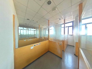 GALLECS 6