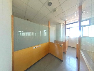 GALLECS 8