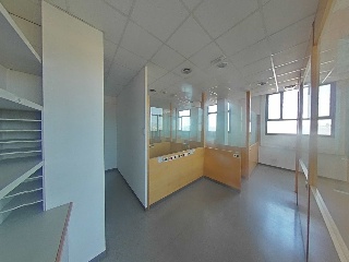 GALLECS 11