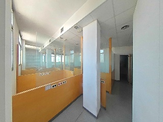 GALLECS 20