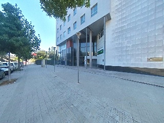 GALLECS 31