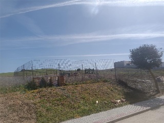 Federico Garcia Lorca 11