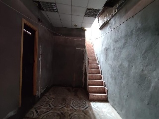 Trabajo 5