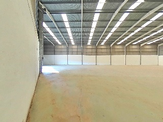 Proc. Simplificado 8