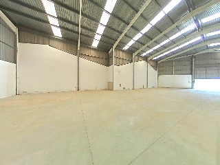 Proc. Simplificado 19