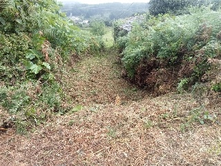 Otros en venta en Vicedo (o)