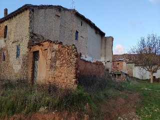 Mayor 6