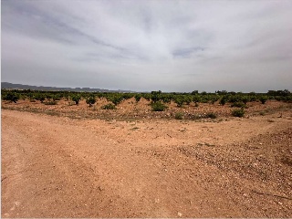 Polígono 20. Parcela 3