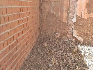 Flor 10