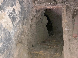 Meson 12