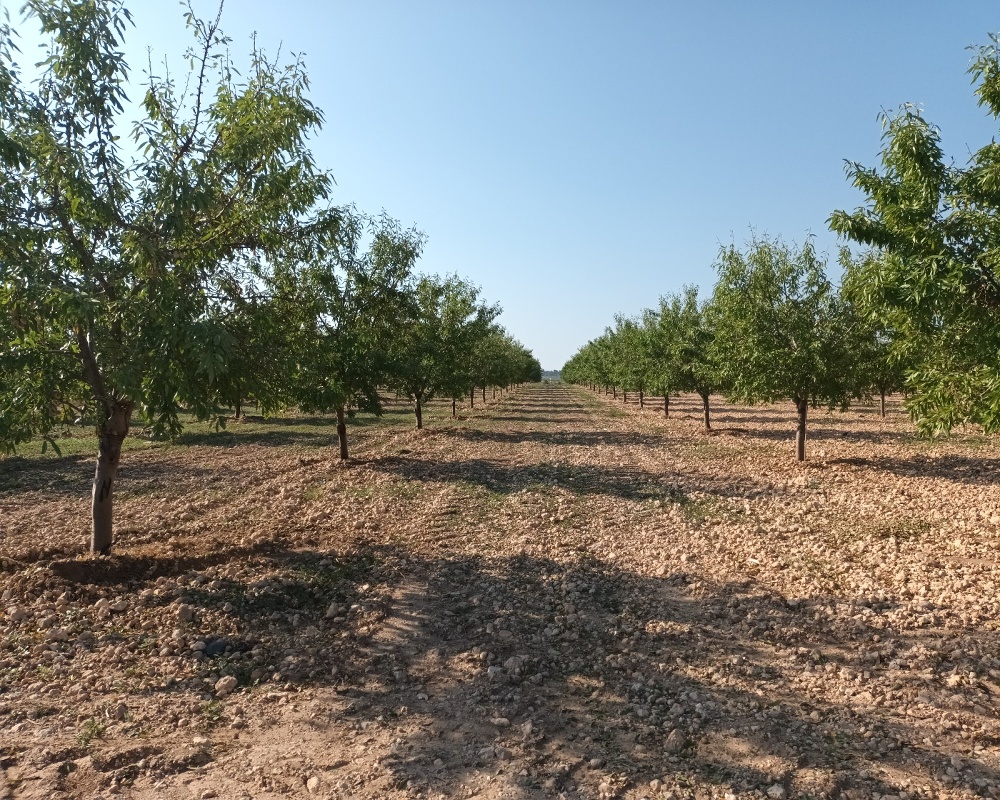 Polígono 18. Parcela