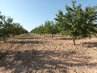 Polígono 18. Parcela 3