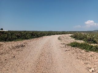 Polígono 18. Parcela 5