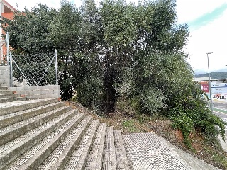 Montanejos 7