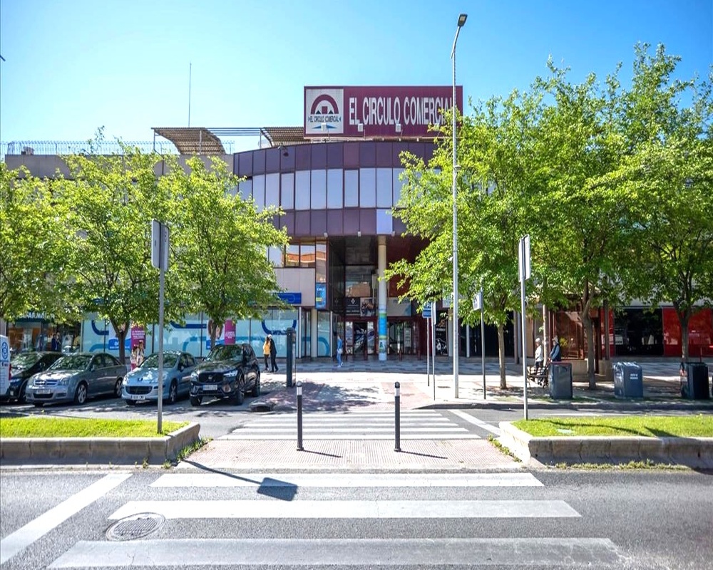 Constitucion