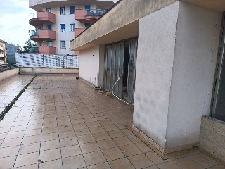 Econom P. Gelabert 7