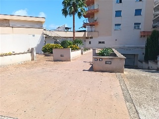 Econom P. Gelabert 19