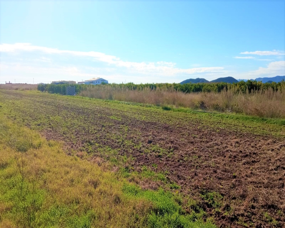 3. Parcela