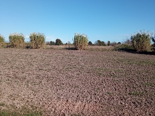 3. Parcela 3
