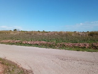 3. Parcela 5