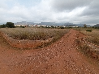 3. Parcela 6