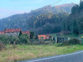 Rois. Polígono 505 Parcela 4