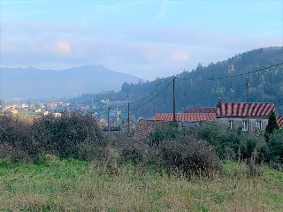 Rois. Polígono 505 Parcela 7