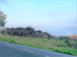 Rois. Polígono 505 Parcela 11