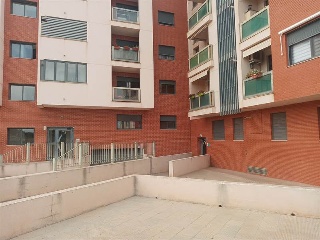 Ramon Y Cajal 3
