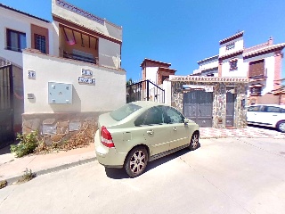Amapola 2